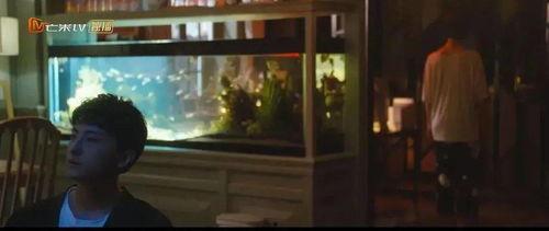 国产乱理,揭秘中国影视行业背后的乱象与反思